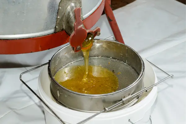 Vantagens do Uso da Centrifuga Radial na Viscosidade do Mel