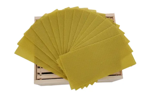 Modelos de Ceraque Avançados para Produção de Cera de Abelha