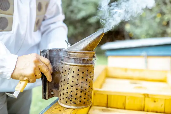 Prevenção de Acidentes com Fogo Durante o Manuseio de Fumigadores