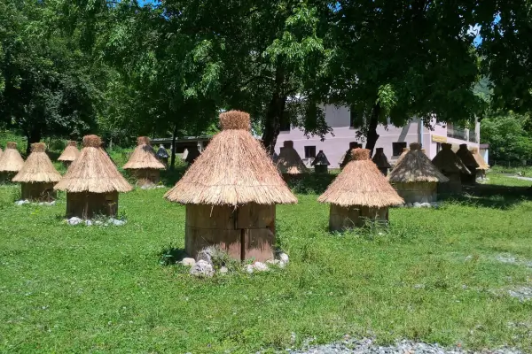 Protegendo Estruturas de Telhados dos Apiários Contra Ações do Clima