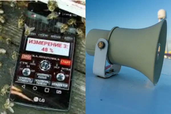 Sistemas Sonoros para Proteção das Colmeias de Predadores